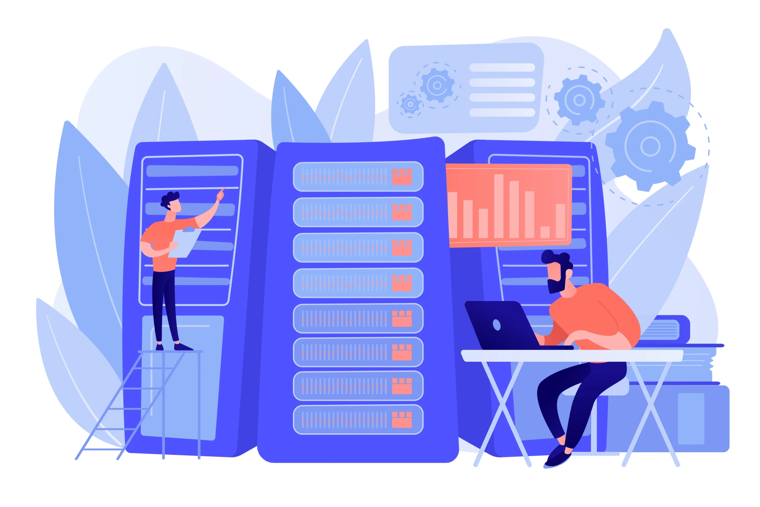 MongoDB and Database Management