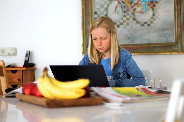 homeschooling-5121262_640 homeschooling-5121262_640